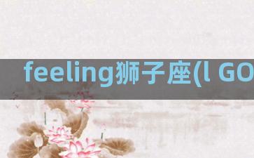 feeling狮子座(l GOTTA FEELING)